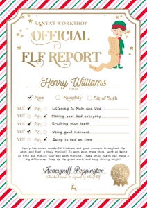 STR-PMT-24-B3393 - STRIPE - PINK MULTI - ELF REPORT CARD - A4: STR-PMT-24-B3393 - STRIPE - PINK MULTI - ELF REPORT CARD