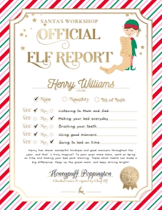STR-PMT-24-B3393 - STRIPE - PINK MULTI - ELF REPORT CARD - 8" x 10": STR-PMT-24-B3393 - STRIPE - PINK MULTI - ELF REPORT CARD