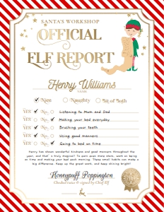 STR-RED-24-B3393 - STRIPE - RED- ELF REPORT CARD - 8" x 10": STR-RED-24-B3393 - STRIPE - RED- ELF REPORT CARD
