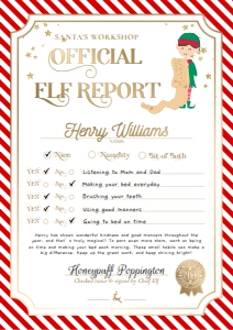 STR-RED-24-B3393 - STRIPE - RED- ELF REPORT CARD - A4: STR-RED-24-B3393 - STRIPE - RED- ELF REPORT CARD