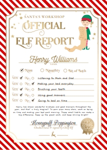 STR-RED-24-B3393 - STRIPE - RED- ELF REPORT CARD - 5" x 7": STR-RED-24-B3393 - STRIPE - RED- ELF REPORT CARD