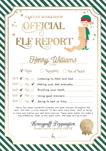 STR-GRW-24-B3393 - STRIPE - GREEN WHITE - ELF REPORT CARD - A4: STR-GRW-24-B3393 - STRIPE - GREEN WHITE - ELF REPORT CARD