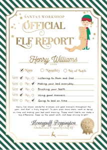 STR-GRW-24-B3393 - STRIPE - GREEN WHITE - ELF REPORT CARD - 5" x 7": STR-GRW-24-B3393 - STRIPE - GREEN WHITE - ELF REPORT CARD