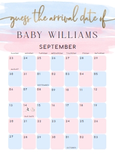 WAT-PNB-10-B1602 - WATERCOLOUR PINK BLUE - GOLD - GUESS THE ARRIVAL DATE SIGN - 18" x 24": WAT-PNB-10-B1602 - WATERCOLOUR PINK BLUE - GOLD - GUESS THE ARRIVAL DATE SIGN