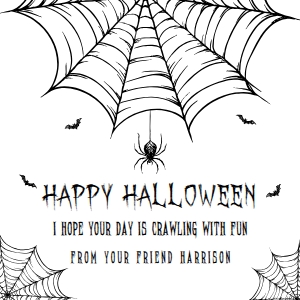 HAL-WHT-6-B3669 - HALLOWEEN - WHITE - SPIDER WEB TAG - 2" x 2": HAL-WHT-6-B3669 - HALLOWEEN - WHITE - SPIDER WEB TAG