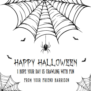 HAL-WHT-6-B3669 - HALLOWEEN - WHITE - SPIDER WEB TAG - 2.5" x 2.5": HAL-WHT-6-B3669 - HALLOWEEN - WHITE - SPIDER WEB TAG