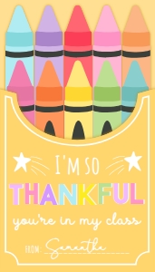 PEN-MLT-6-B3702 - PENCIL - MULTI - THANKFUL YOU'RE IN MY CLASS TAG - 2" x 3.5": PEN-MLT-6-B3702 - PENCIL - MULTI - THANKFUL YOU'RE IN MY CLASS TAG