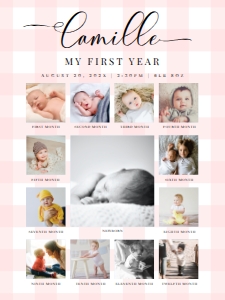 GIN-PNK-7-B2337 - GINGHAM - PINK - PHOTO TIMELINE SIGN - 18" x 24": GIN-PNK-7-B2337 - GINGHAM - PINK - PHOTO TIMELINE SIGN