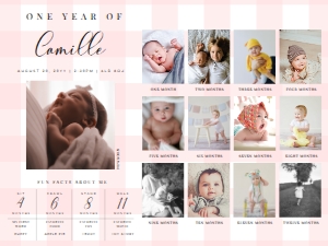 GIN-PNK-7-B2577 - GINGHAM - PINK - PHOTO TIMELINE AND MILESTONE SIGN - 18" x 24": GIN-PNK-7-B2577 - GINGHAM - PINK - PHOTO TIMELINE AND MILESTONE SIGN