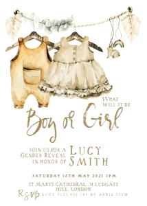 Boho Gender Reveal: 1276770892
