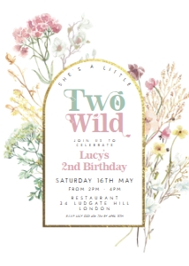retro two wild: 1741462673