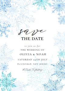 dv winter wonderland save the date: 4308978698