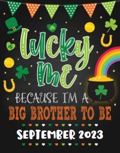 Lucky Me_Big Brother Announcement design preview