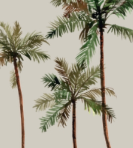 Palm Tree Opt 2 SQ Liner: Sophia - Watercolor Palm Tree 2