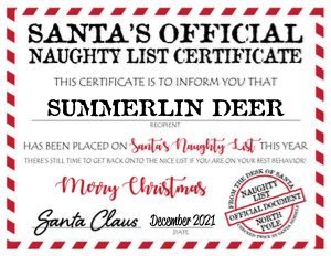 Santa Claus Official Naughty List Certificate, Personalized Santa Mail Corjl Template, Editable Digital Printable Naughty Nice List Warning design preview