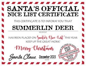 Santa Claus Official Nice List Certificate, Personalized Santa Mail Corjl Template, Editable Digital Printable Naughty Nice List Warning design preview