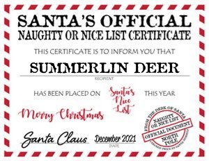 Santa Claus Official Naughty or Nice List Scratch Off Certificate, Personalized Santa Mail Corjl Template, Editable Digital Printable design preview