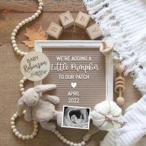 Fall-Adding-Pumpkin-Bunny-Pregnancy-Announcement: Fall-Adding-Pumpkin-Bunny-Pregnancy-Announcement