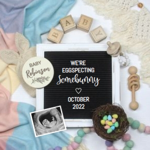 Eggspecting-Somebunny-Pregnancy-Announcement design preview