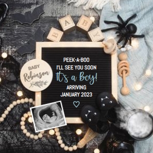 Halloween-Bats-Boy-Gender-Reveal: Halloween-Bats-Boy-Gender-Reveal