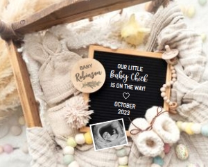 Easter-Baby-Chick-On-The-Way-Pregnancy-Announcement design preview