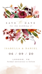 ambra-large-bundle-15-01| Large Premium Bundle design preview