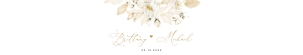 Dora | Belly Band for 5x7 Card: dora-stat-14-02-set | Wedding Invitation Set