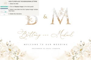 Dora | Welcome Sign 30 x 20": dora-stat-14-11 | Welcome Sign