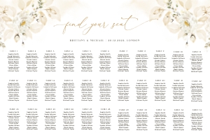 Dora | Seating Chart 36 x 24: dora-stat-14-08 | Seating Chart