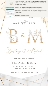 dora-evite-14-01 | save the date evite design preview