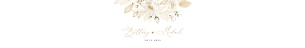 Dora | Belly Band for A5 Card: dora-stat-14-02-set | Wedding Invitation Set