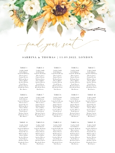 Marisol | Seating Chart 18 x 24 ": marisol-stat-21-08 | seating chart