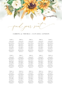Marisol | Seating Chart A1: marisol-stat-21-08 | seating chart