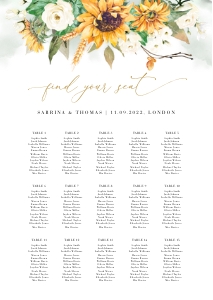 Marisol | Seating Chart A2: marisol-stat-21-08 | seating chart