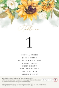 Marisol | Seating Cards 4 x 6": marisol-stat-21-08b | Seating cards