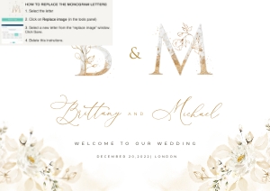 Dora | Welcome Sign A1: dora-stat-14-11 | Welcome Sign