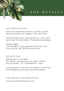 palma-stat-10-15 | 3.5 x 5" - details Card: palma-stat-10-15 | Passport Wedding Invitation Template with RSVP