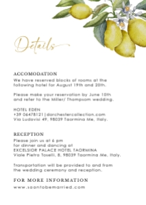 lemon-stat-34-01 | A6 - Italy Passport details Card: lemon-stat-34-01 | Italy Passport Wedding Invitation