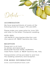lemon-stat-34-01 | 3.5x5" - Italy Passport details Card: lemon-stat-34-01 | Italy Passport Wedding Invitation