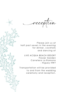 aida-stat-02-02 | AIDA reception Card - 4x6": aida-stat-02-02-set | Corals beach wedding invitation Suite