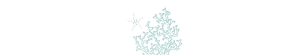 aida-stat-02-02 | AIDA Belly Band - 11x2": aida-stat-02-02-set | Corals beach wedding invitation Suite