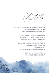 ylenia-stat-02-02 | YLENIAdetails Card - 4x6": ylenia-stat-02-02-set | Navy beach wedding invitation Suite