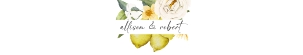 lemon-stat-34-05 | belly band 11 x 2": lemon-stat-34-05-set | Wedding invitation suite