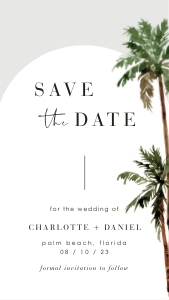 palma-large-bundle-10-02 | palm tree stationery bundle design preview