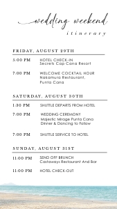 palma-evite-10-23 | Digital palm tree wedding itinerary design preview