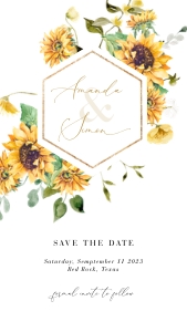 marisol-evite-21-08 | digital save the date - D5 design preview