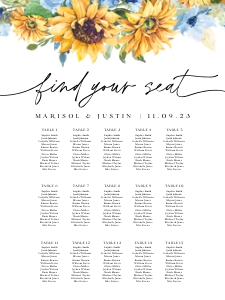 ivy-stat-41-25-b | seating chart 18x24": ivy-stat-41-25-b | seating chart