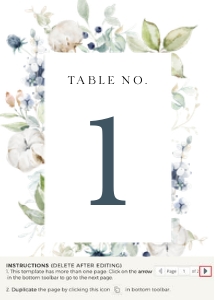 bianca-stat-43-04 | Bianca Table numbers 5×7": bianca-large-bundle-43-01 | Large Premium Bundle