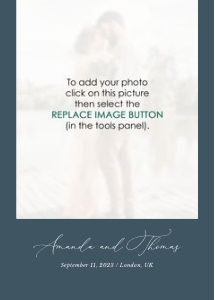 bianca-stat-43-12 | Bianca thank you card: bianca-large-bundle-43-01 | Large Premium Bundle
