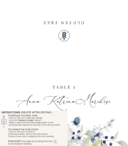 bianca-stat-43-07 | Bianca Place card folded 3.5×2": bianca-large-bundle-43-01 | Large Premium Bundle